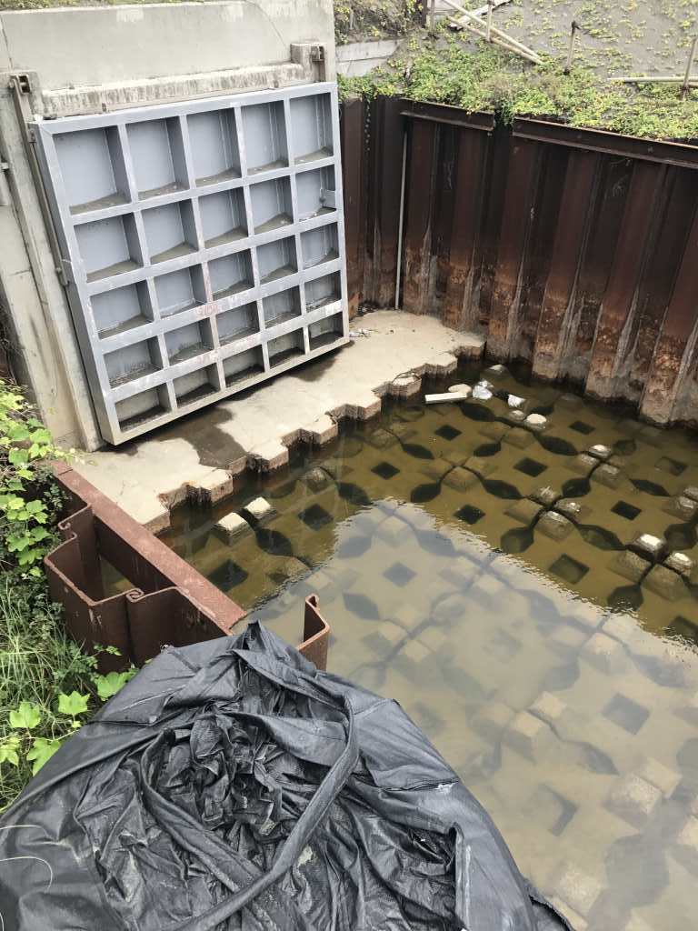 イメージ 9